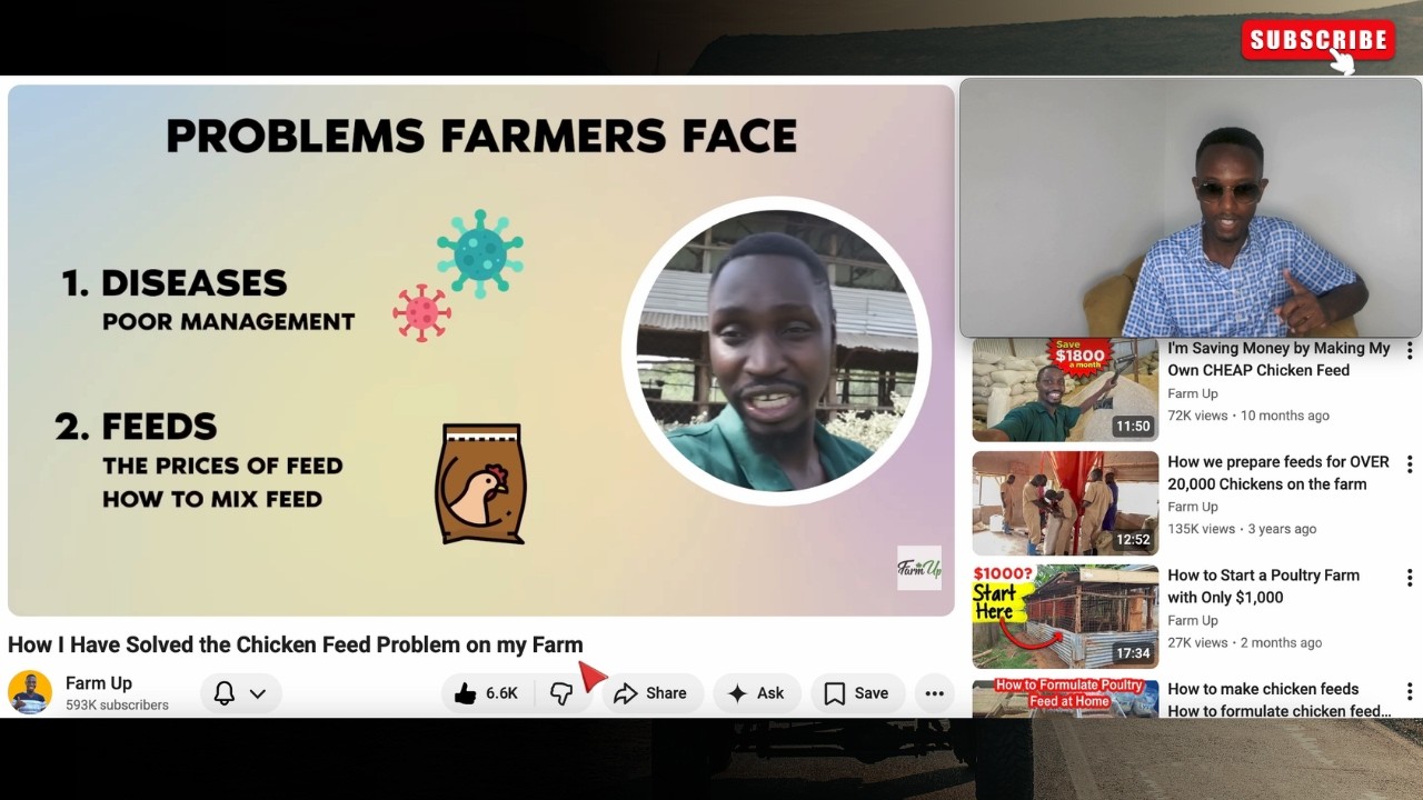 Make Money In Africa With Your Own Chicken Feed Business