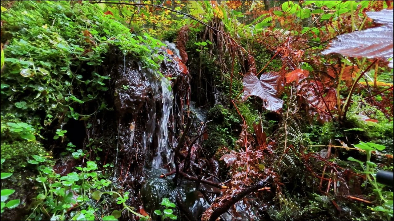 White Noise. Sound of running water for sleep. | Звук журчащей воды для сна.