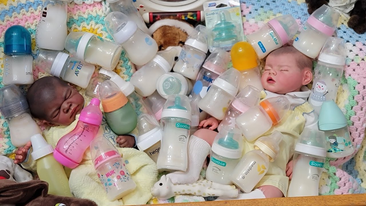 My Bottle Collection