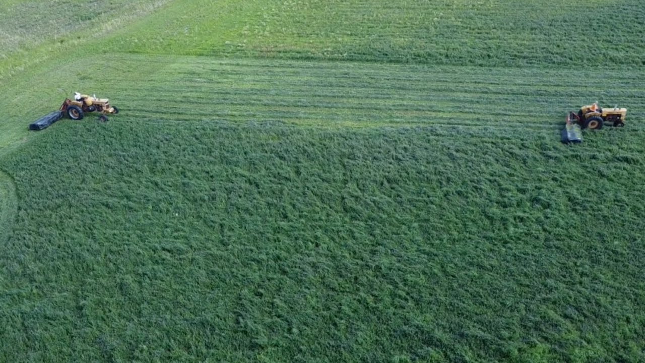 Farming Like It&rsquo;s 1965! Mowing Hay With Minneapolis Moline M602&rsquo;s