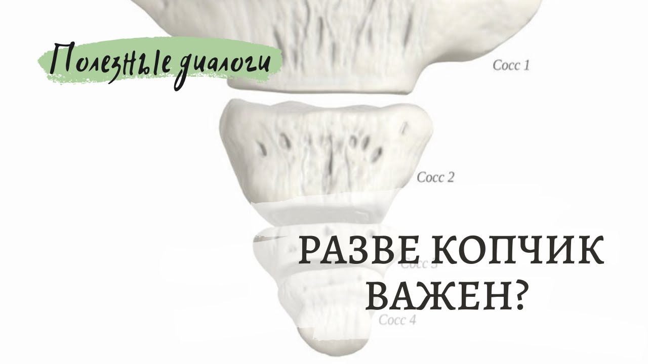 Копчик. Разве он нужен?