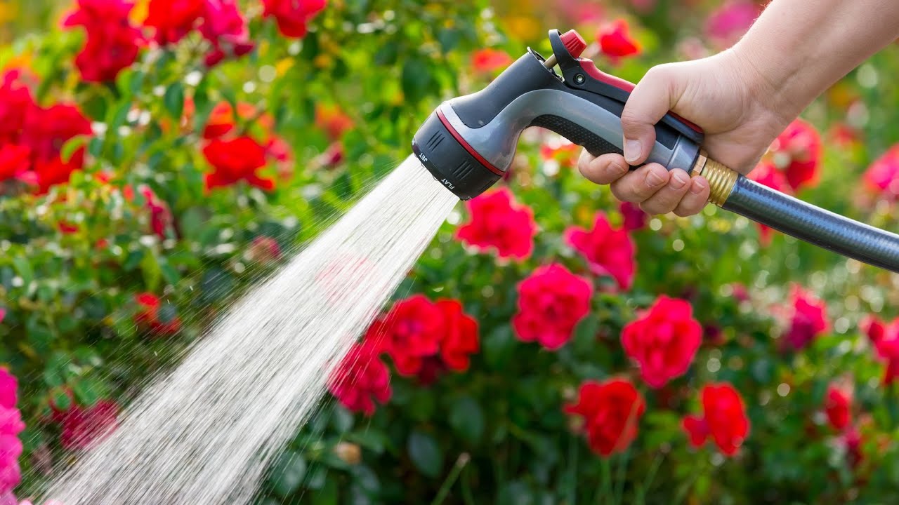 Hosepipe ban enforced in parts of southern England