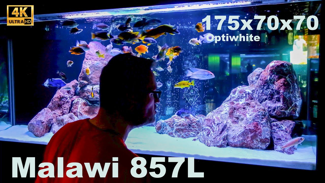 Malawi 857 L 175x70x70cm Optiwhite