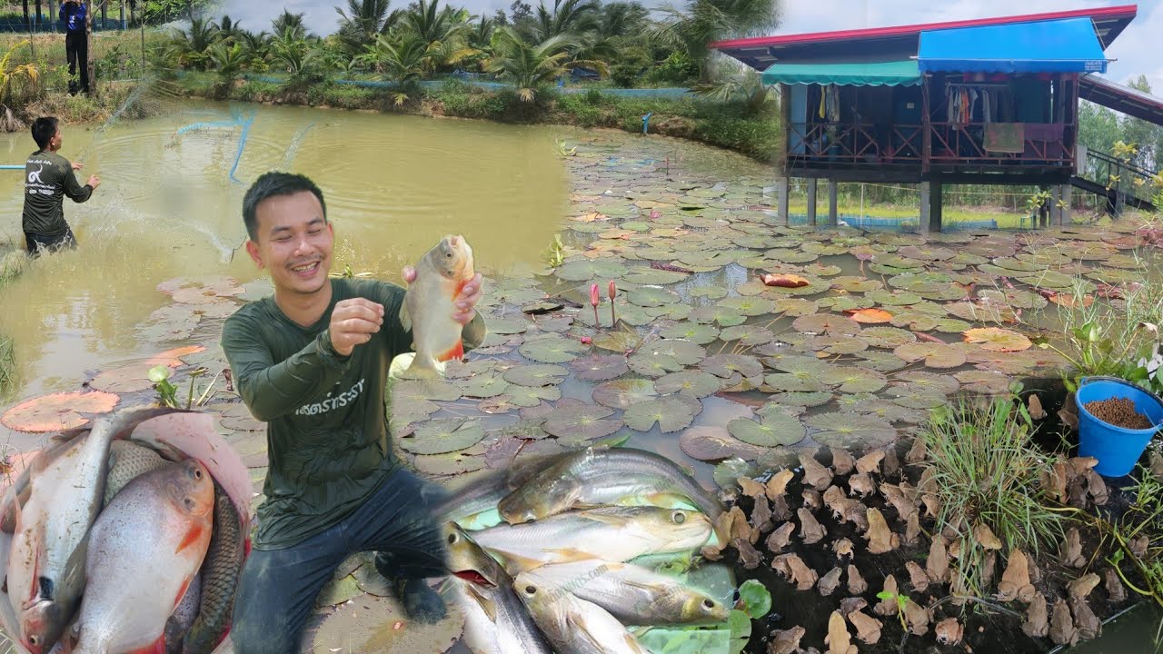 เกษตรผสมผสานในพื้นที่​ 2 ไร่!!สร้างแหล่งอาหารให้ครอบครัว​ มีอยู่มีกินมีรายได้​ สุดยอดวัยรุ่นทำเกษตร​