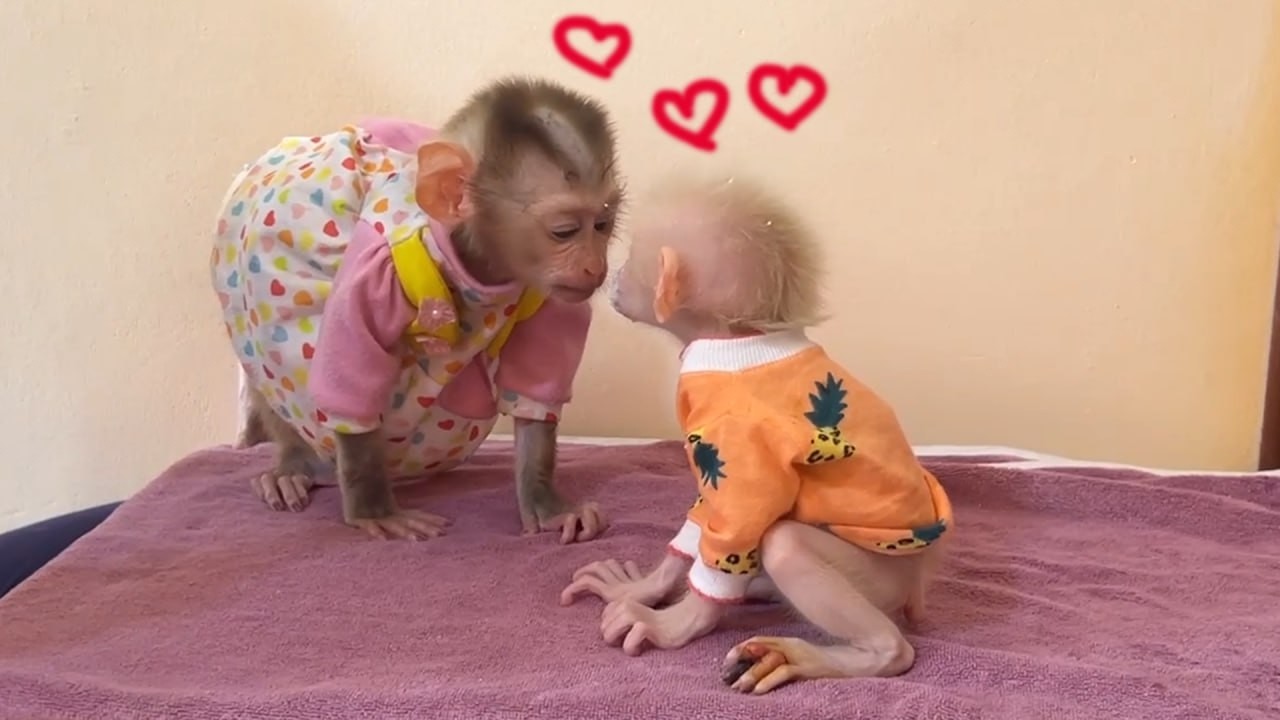 Best Sibling In The World, Baby Yuri & Minea Seem Getting Along Well Very Soon