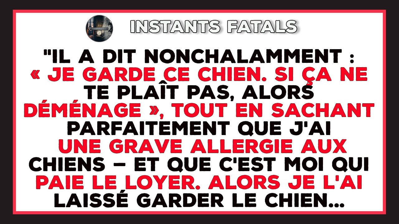 Je Raconte Comment Il M’a Dit De Partir S’il Gardait Le Chien, En Sachant Ce Que Je Vivais.
