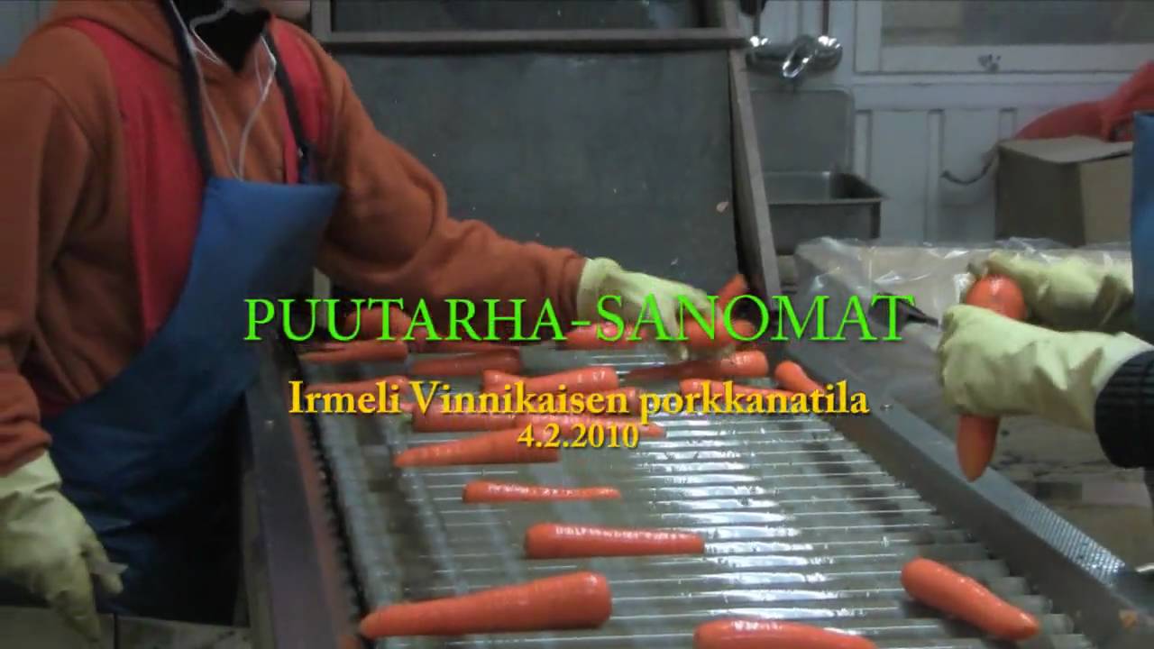 Puutarha-Sanomat - Irmeli Vinnikaisen porkkanatila