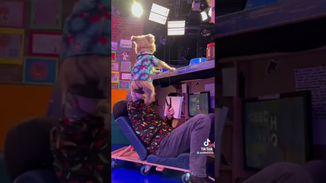 Behind the scenes on hacker the dog 🐶