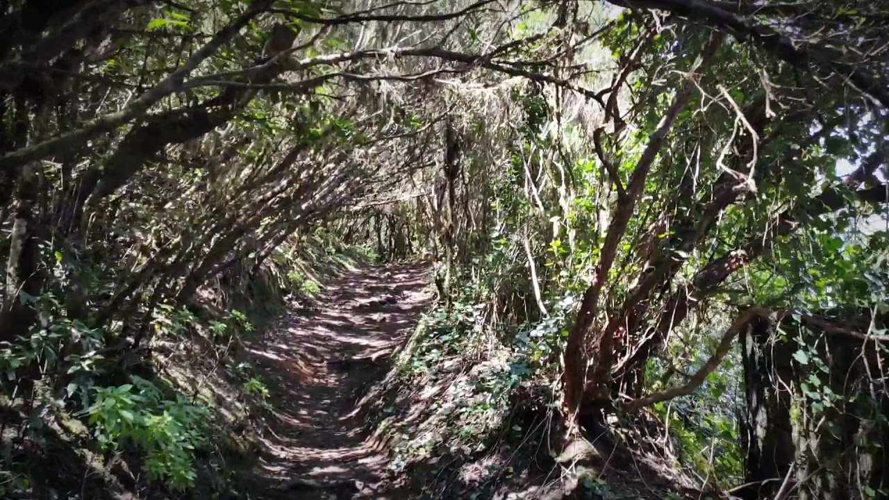 Monte de Aguirre, Anaga (Zona de Exclusi&oacute;n, ZE)