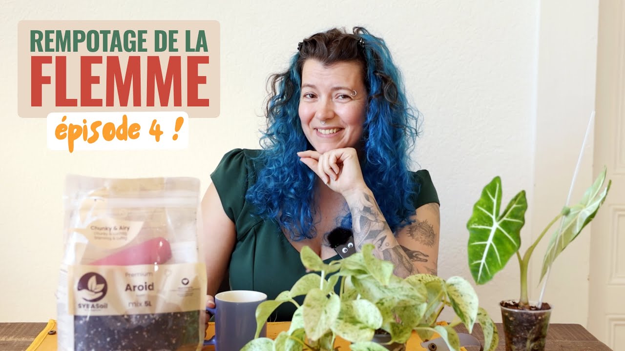 😴 Les Rempotages de la Flemme : Pothos & Alocasia｜Épisode 4 👩‍🌾