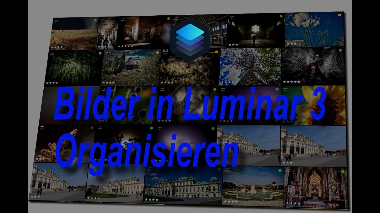 Bilder in Luminar 3 Organisieren