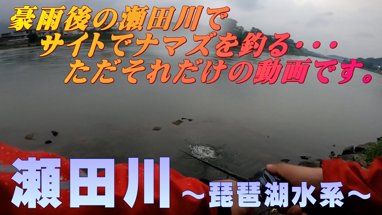 豪雨後の瀬田川でアフターフィシングはサイトでナマズと遊ぶ・・・