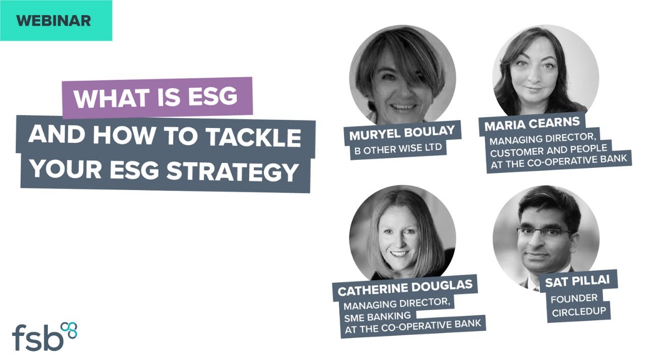 What is Environmental, Social and Governance (ESG) and how to create ESG strategy for small business