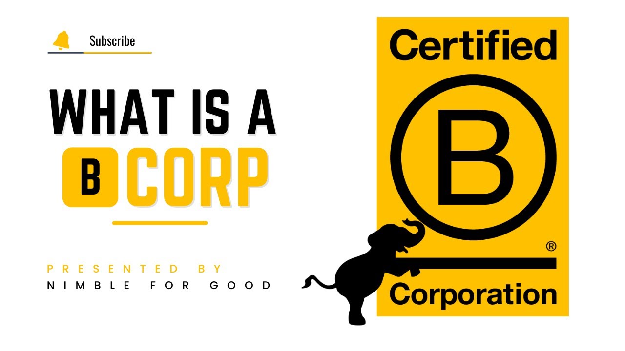 What is a B Corp?