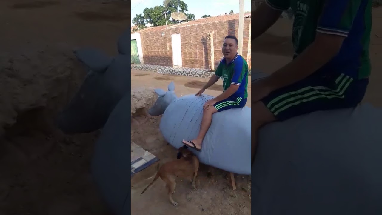 TAT&Uacute; GIGANTE &Eacute; VISTO CAVANDO BURACO NAS RUAS DE JUAZEIRO-BA