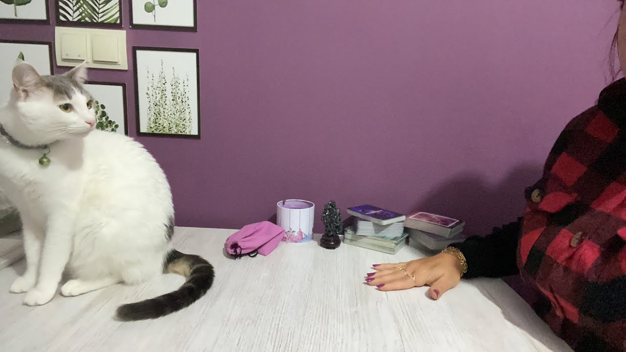 O aslında nasıl biri? Niyeti ne? Söylemek istedikleri? Deste Seç TaroT 💜💜 @aysegulerginvlog