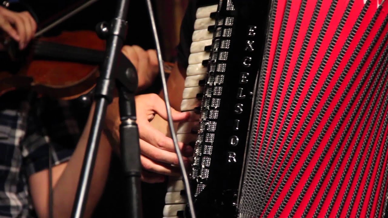 The Felice Brothers - "Bird On A Broken Wing" - Radio Woodstock 100.1 - 6/17/14