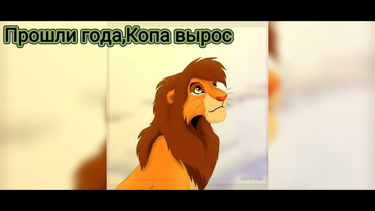 История Копы