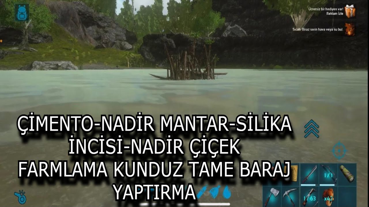 ÇİMENTO-SİLİKA İNCİSİ-NADİR MANTAR-NADİR ÇİÇEK Farmlama | Ark Mobile | Castrodies Tame |