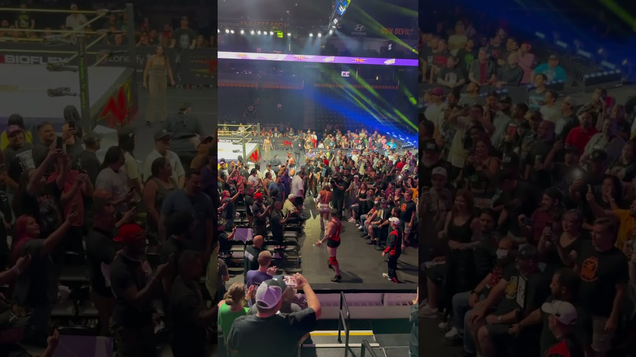 Santino Marella Brawls with Robert Stone in the Crowd! 😂🔥 | TNA Against All Odds 2025