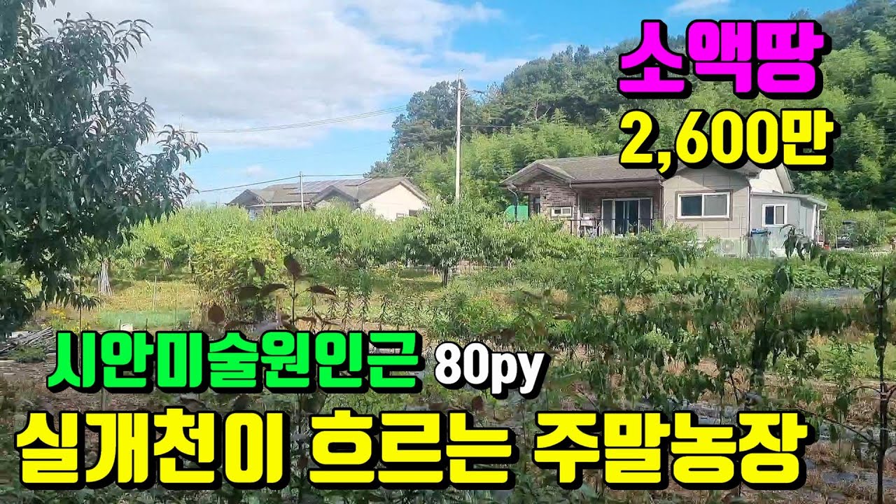 [No.184]신녕 i.c 10분거리 화산면 시안미술원인근 미술특구마을 실개천이 흐르는 소액땅 영천주말농장매매(80평)2,600만/영천부동산가이드/영천부동산