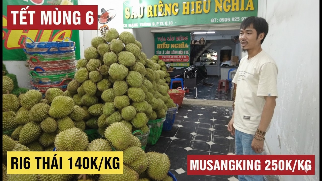GIÁ SẦU RIÊNG TẾT MÙNG 6: Bất ngờ giá Ri6, Thái và Musang King tại vựa Hiếu Nghĩa!