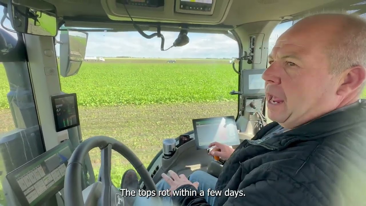 Red River Valley Sugar Beet Harvest 2024
