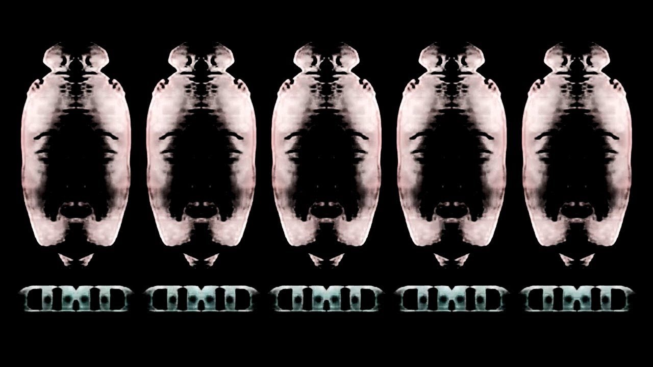Телекомпания ВИD (Effects & Parodies) (Part 1)
