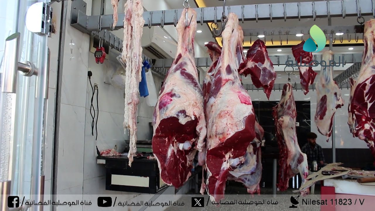 قصابو الموصل: نقص الثروة الحيوانية بالبلاد أثر سلبا على أسعار اللحوم الحمراء