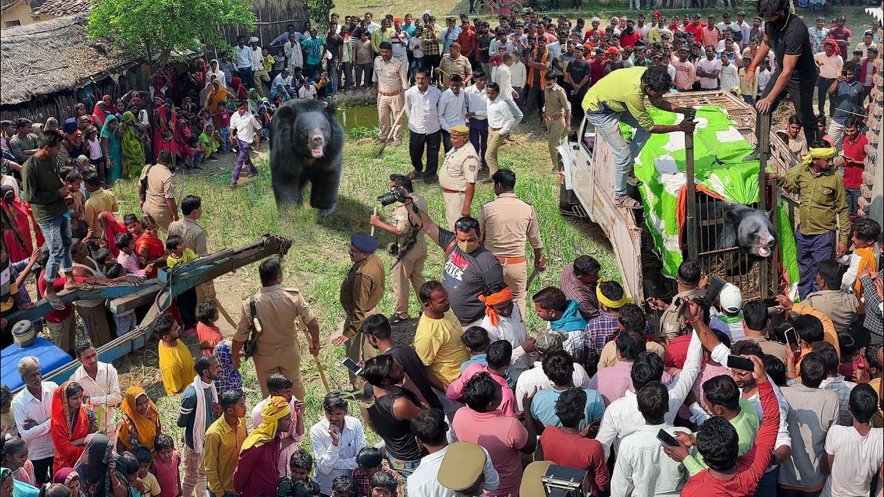 हैरतअंगेज कारनामा, इस गांव में खूंखार जानवर का रेस्क्यू कैसे किया!Dangerous Animal Rescue in Village