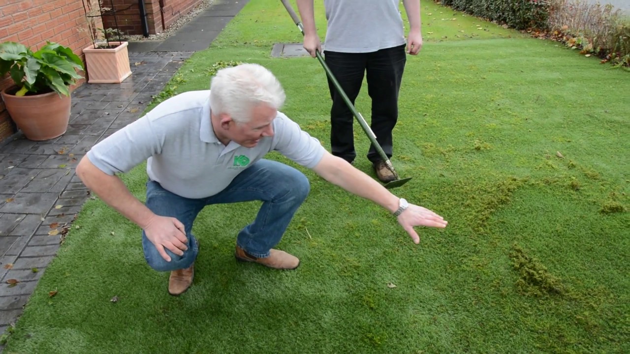 Serving Latex Artificial Grass From Weeds, Moss and Shrinking