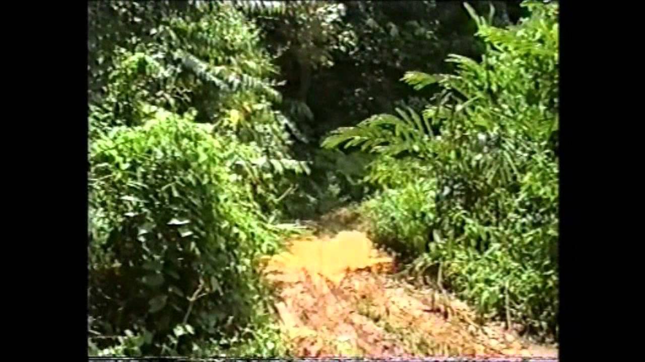 Rides @Trans-Pan Malaysia 1995 Part 3