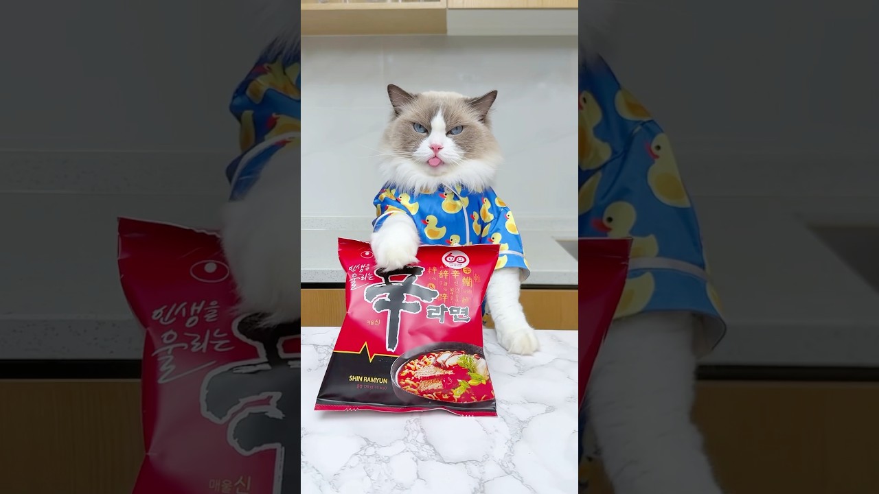 How to remake your ramen? #thatlittlepuff #shinramen