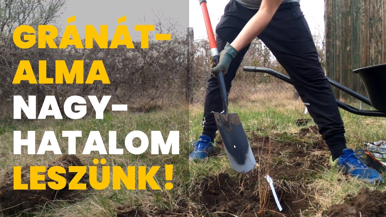 Ki &eacute;li m&eacute;g az &aacute;lmaimat? + Gr&aacute;n&aacute;talma &uuml;ltet&eacute;s + Handr&aacute;s kertje