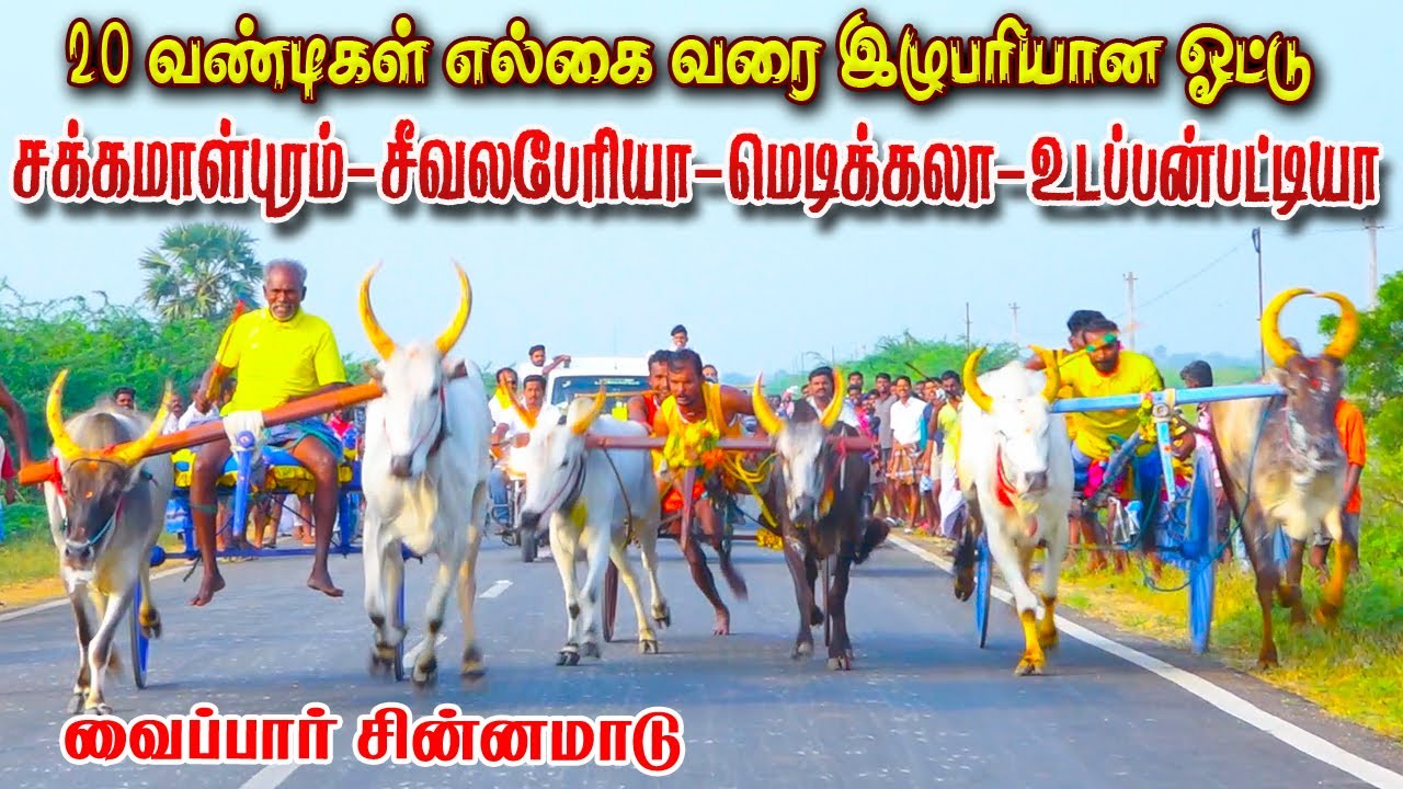 சின்னமாடு வைப்பார் பெரியமாடு தூத்துக்குடி மா 04/01/2023 vaippar chinnaamadu ksk rekla race