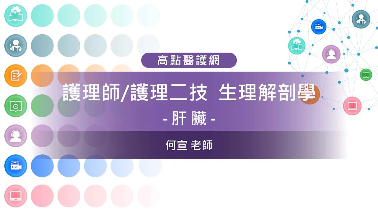 【高點護理小學堂】生理解剖學【肝臟】 何宣老師 ｜護理師｜高點醫護網