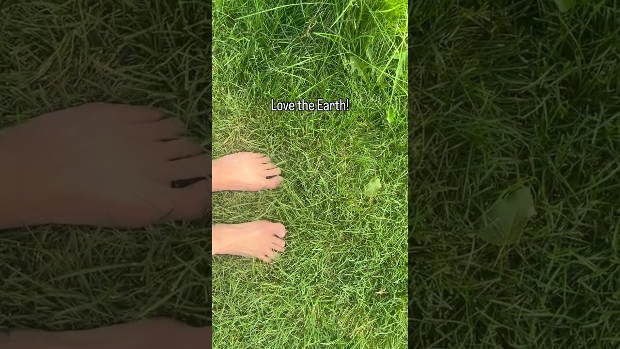 Show the Earth Some Love Simple Eco-Friendly Tips for Everyday Life 