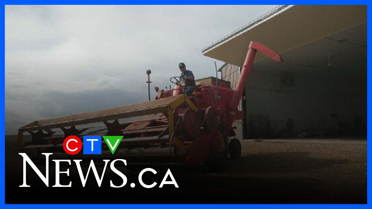 Sask. farmer restores vintage combine