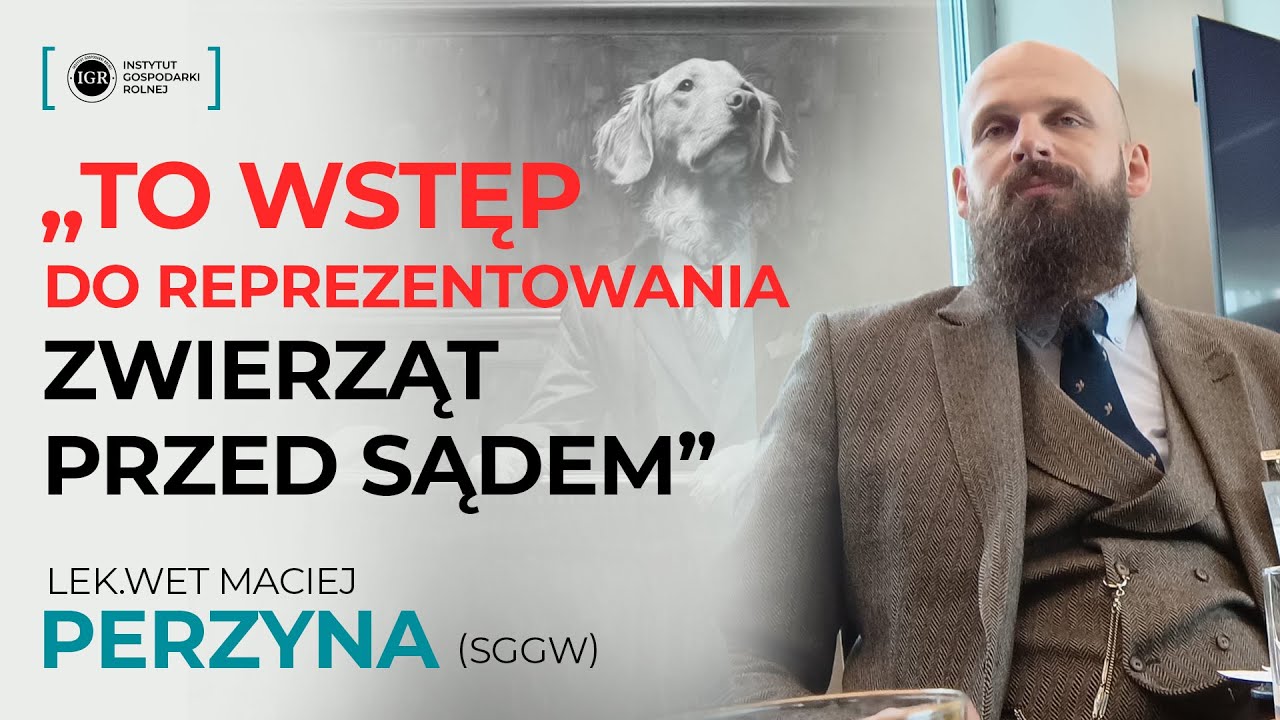 M. Perzyna (lek.wet): Nadanie praw osobowych zwierzętom to wstęp do ich reprezentowania przed sądami