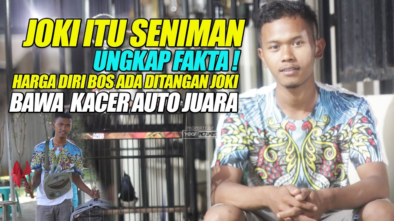 JOKI ITU SENIMAN : UNGKAP FAKTA ! KELUH KESAH SEBAGAI PERAWAT BURUNG | BAWA KACER JUARA & SETINGAN