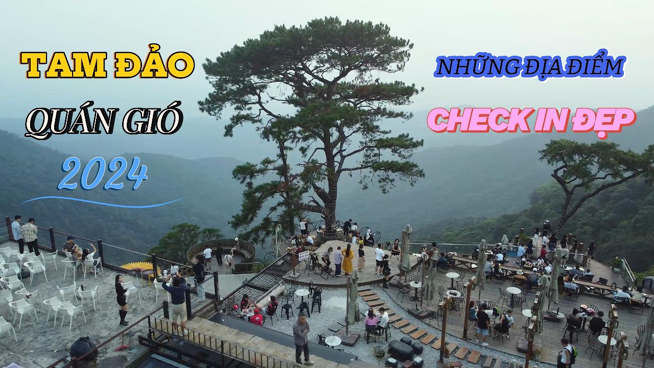 TAM ĐẢO 2024
