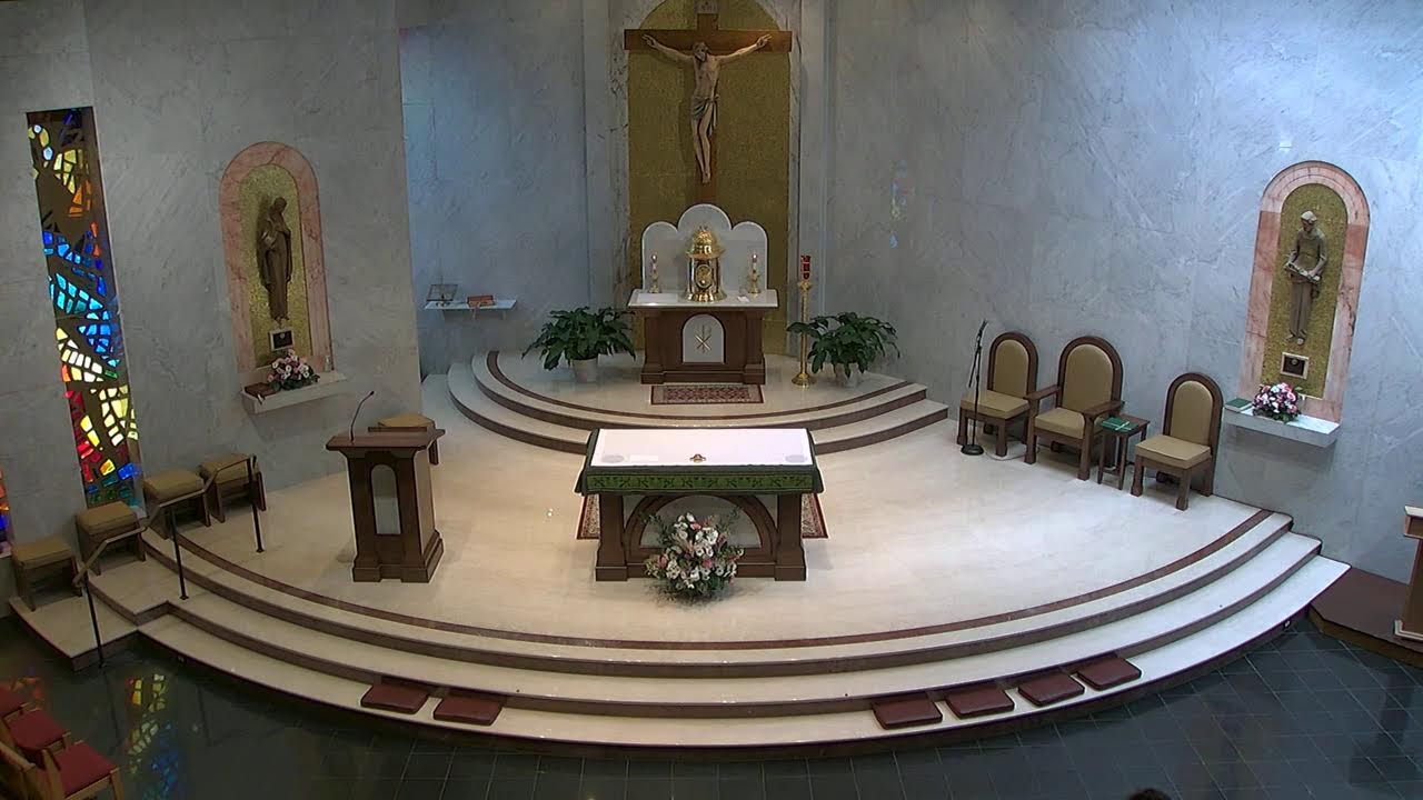 Nativity Livestream Sunday 11:00 Mass | February 15, 2026
