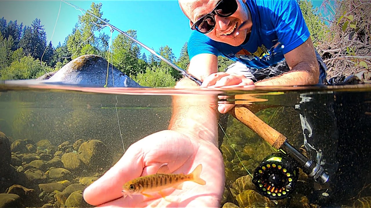 MICRO Trout Fishing!!! (AquaView) | 4K