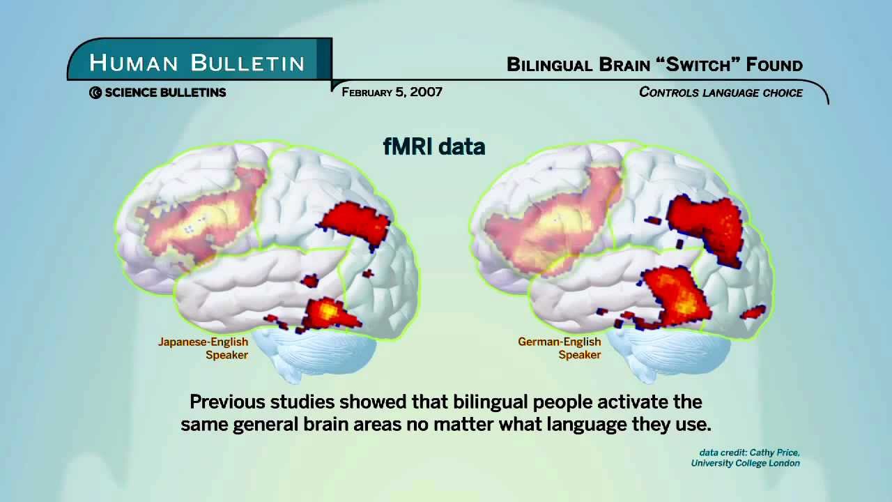 Science Bulletins: Bilingual Brain 'Switch' Found