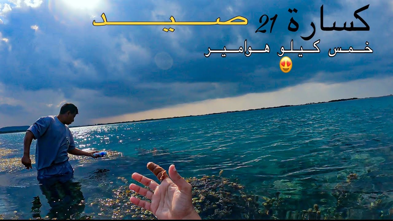خمسه كيلو هوامير والجو🌧️😍