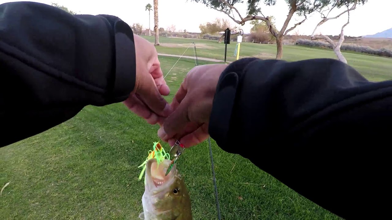 Imperial Valley Fishing