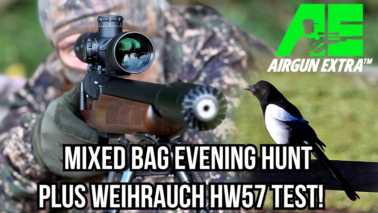 Airgun Extra | Охота на белок, кроликов и сорок | Обзор Weihrauch HW57