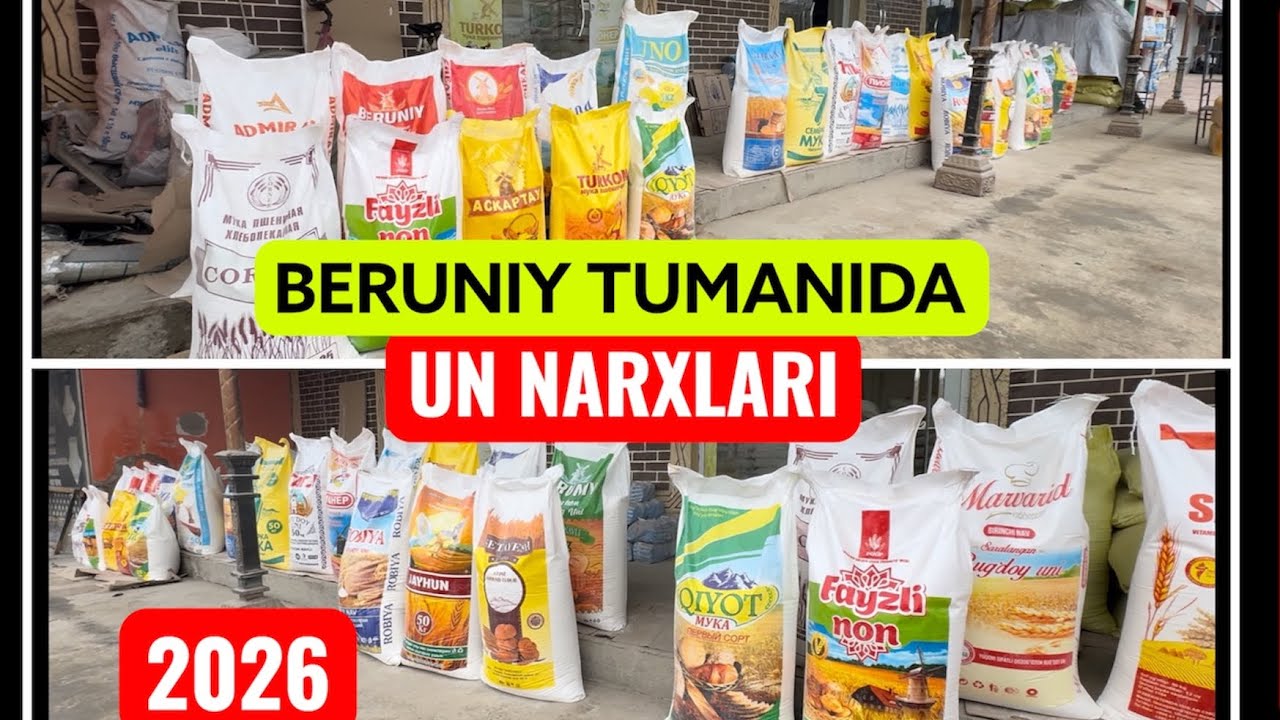 БЕРУНИЙ ТУМАНИДА УН НАРХЛАРИ 2026 #турткуль #beruniy #ellikqala 