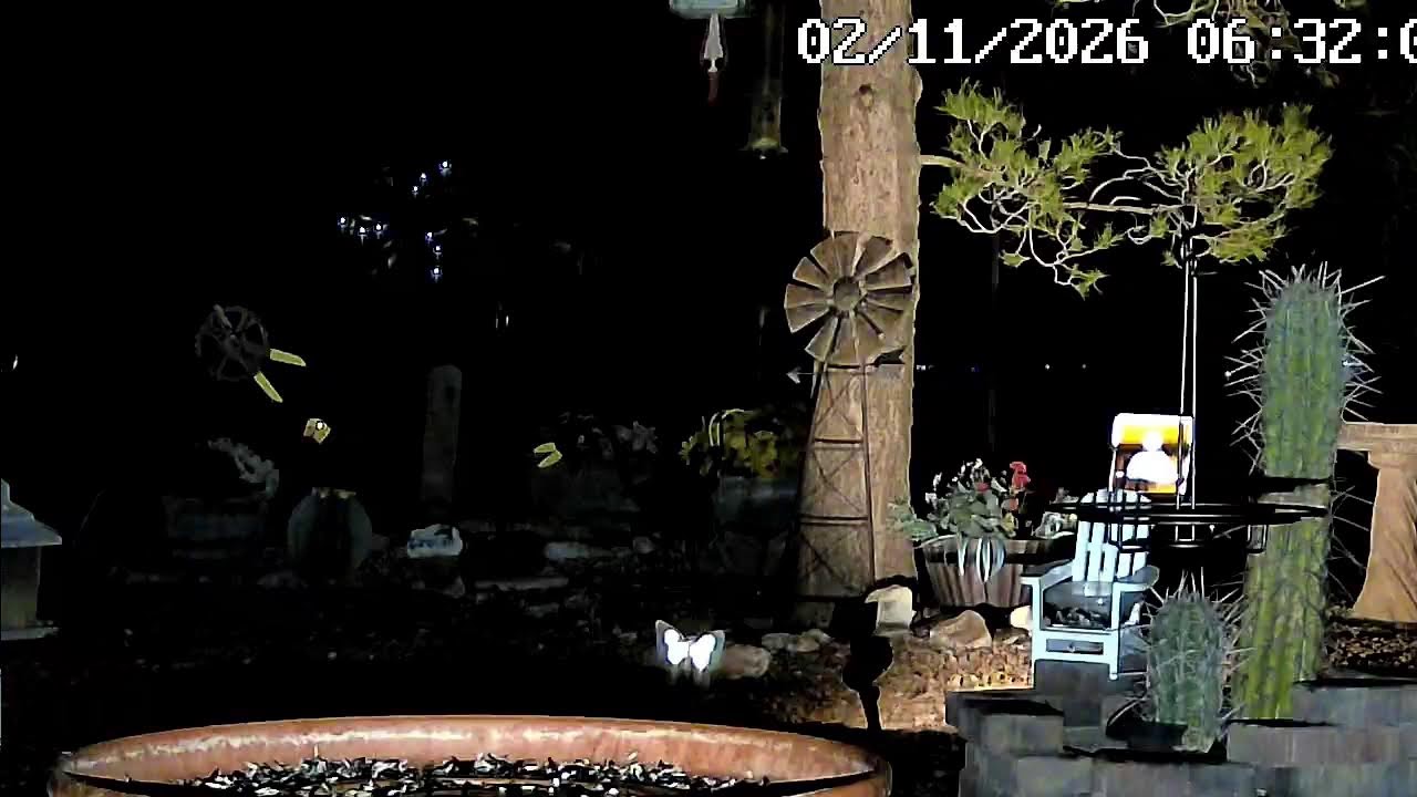 MOJAVE DESERT:LIVE:) LOTS OF BIRDS AND SQUIRRELS:) NATURE SHOW #mojavedesert#nature#squirrels#birds