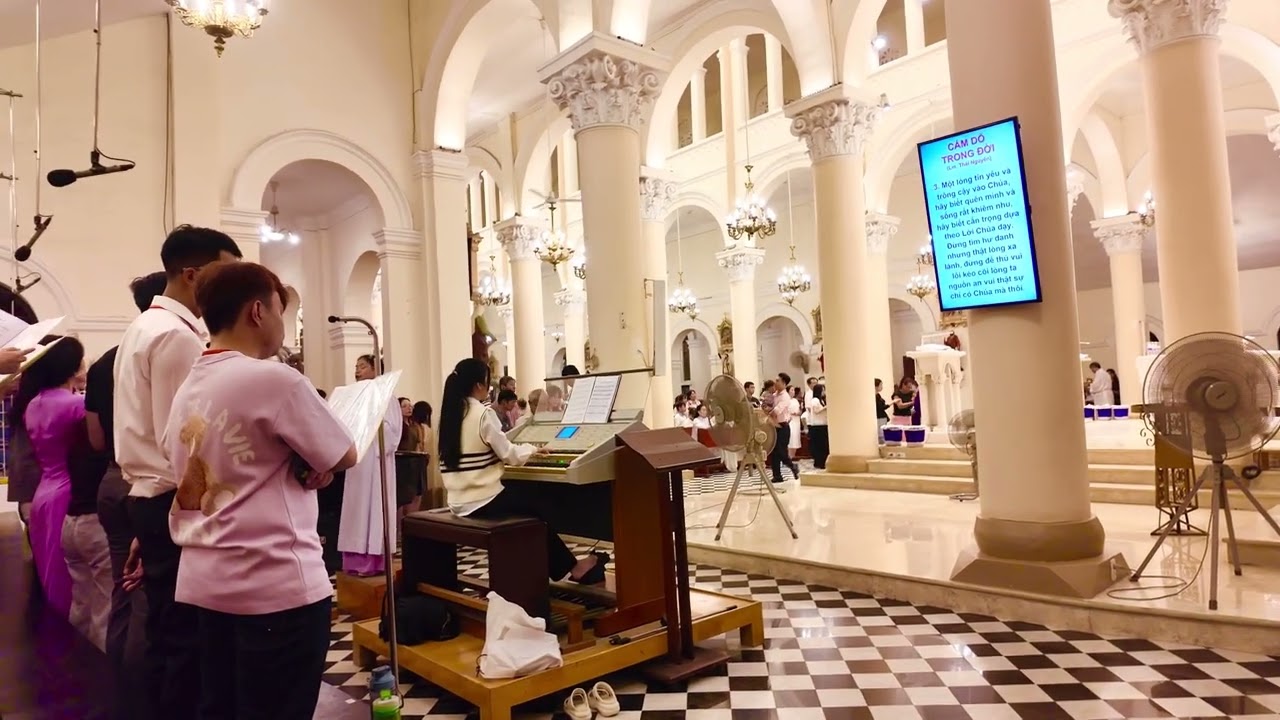 Cám Dỗ Trong Đời. St Lm Thái Nguyên.
